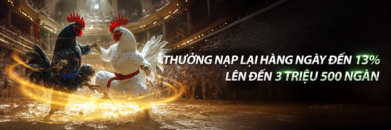 Hình ảnh chọi gà trực tuyến kịch tính tại QQ99